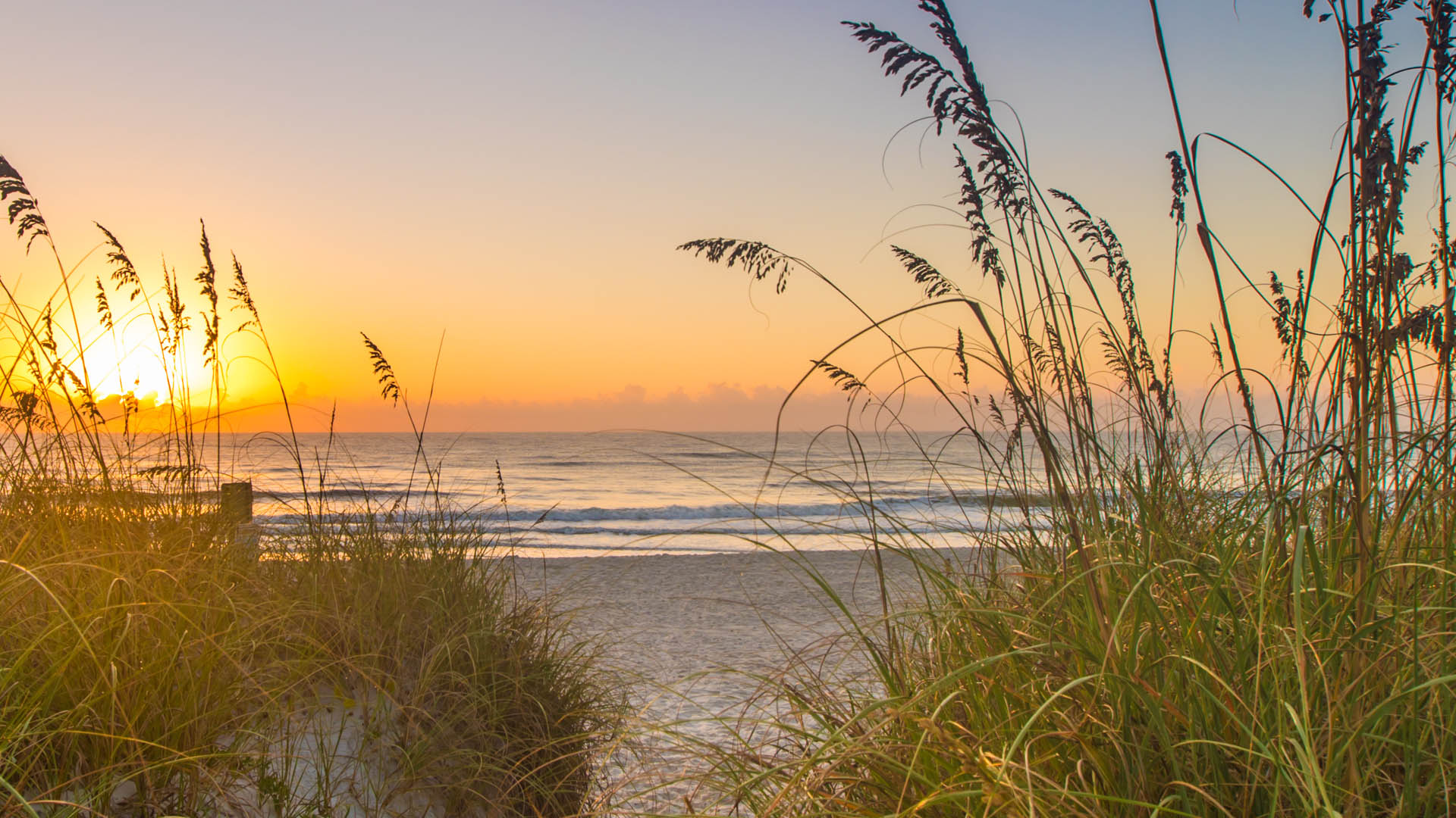 Enjoy Your New Beach Life Amelia Island Plantation Community Association