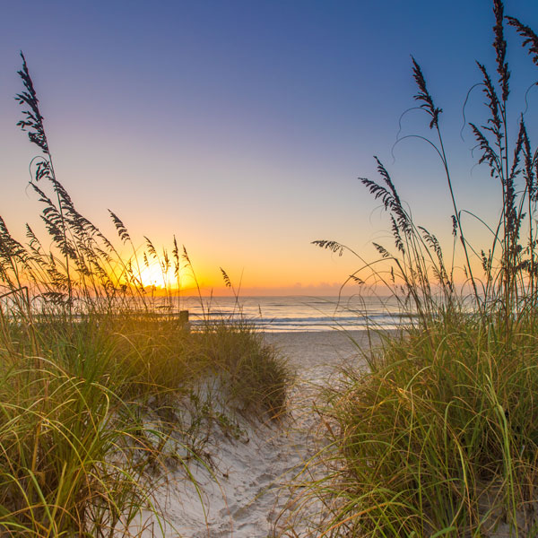 Contact Us Amelia Island Plantation Community Association