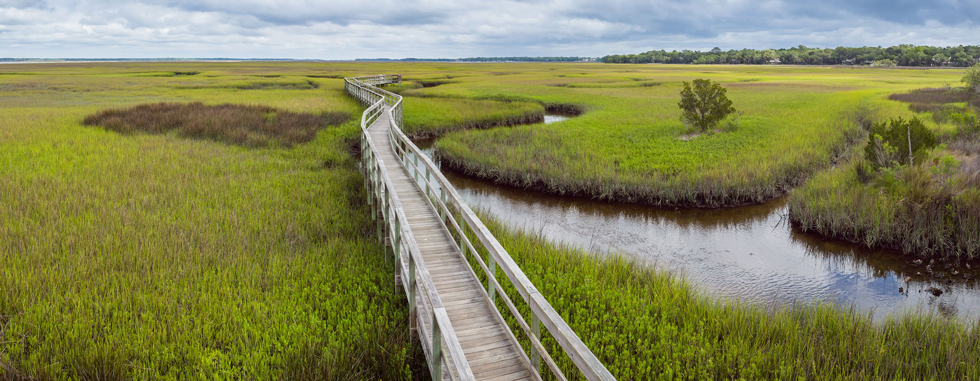 Fall in Love with Nature Amelia Island Plantation Community Association