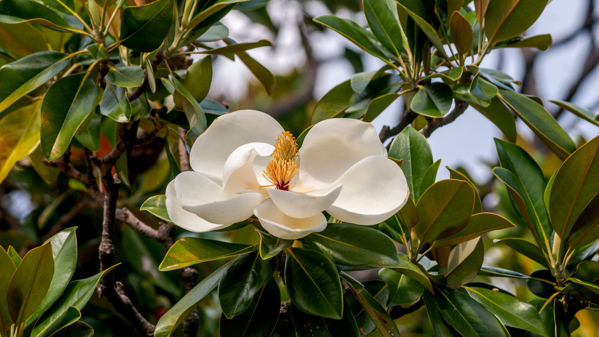 A healthy, vibrant place to live | Amelia Island Plantation Community ...